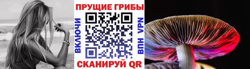 Галлюциногенные грибы ЛСД  Харабали 